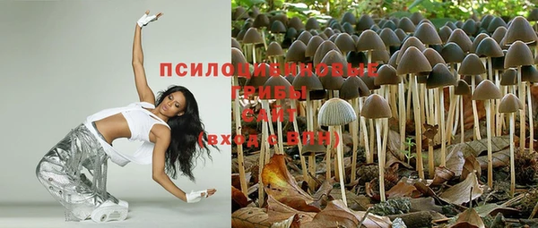 гашиш Аркадак